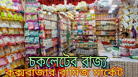 Video 11301871: chocolate burmese