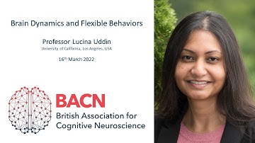 World Wide Neuro - BACN Series - Lucina Uddin - 16th March 2022
