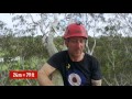 Cruising Melbourne's 80-Foot Tree Canopies with a Chainsaw