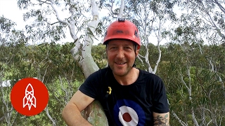 Cruising Melbourne's 80-Foot Tree Canopies with a Chainsaw