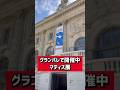 【パリの特別展】グランパレで開催中「マティス展」