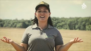 VT   CLASSIFICADOR DE GRÃOS   2023  #agro