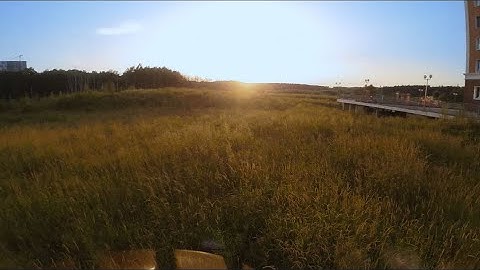 Happymodel Crux3 + Insta360 GO 2