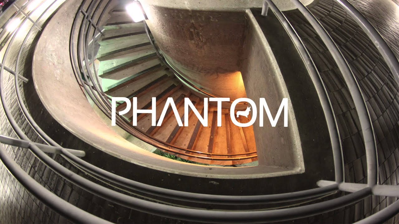 Ivy Sole - Free Fallin