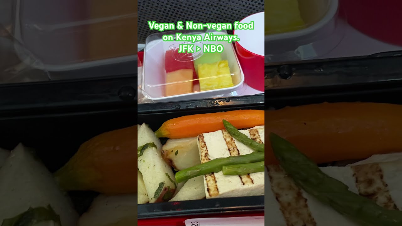 Food On Kenya Airways New York JFK To Nairobi NBO Travel Africa Kenyatravel