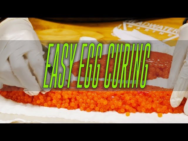 How To Cure Salmon Eggs, The Fastest & EASIEST Way To Cure Eggs. 