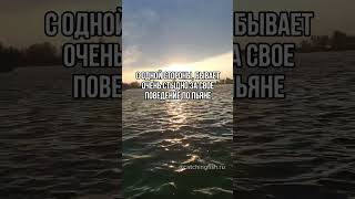 🤣🤣#рыбалка #ловлярыбы #рыболовство #рыба #семга #щука #рыбалканакольском #рыбаки #рыбалканаозере