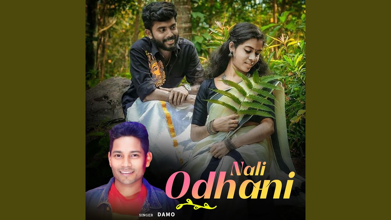 Nali Odhani