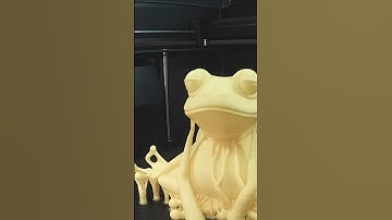the frog who knew #k2plus #3dprinting #peterburg #k1c #dirtking #3d #creality #timelapse #frog 🐸