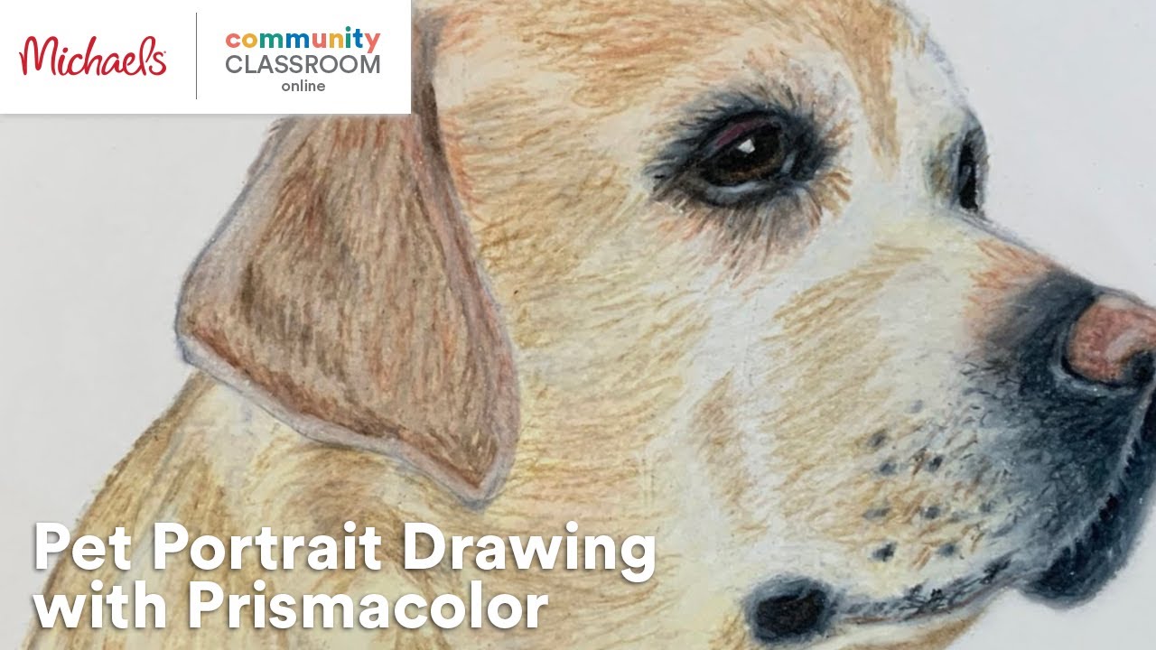 Online Class: Pet Portrait Drawing with Prismacolor