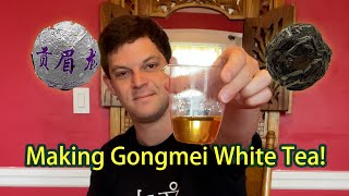 TEA WITH JESSE: How to make GONGMEI WHITE TEA Resimi