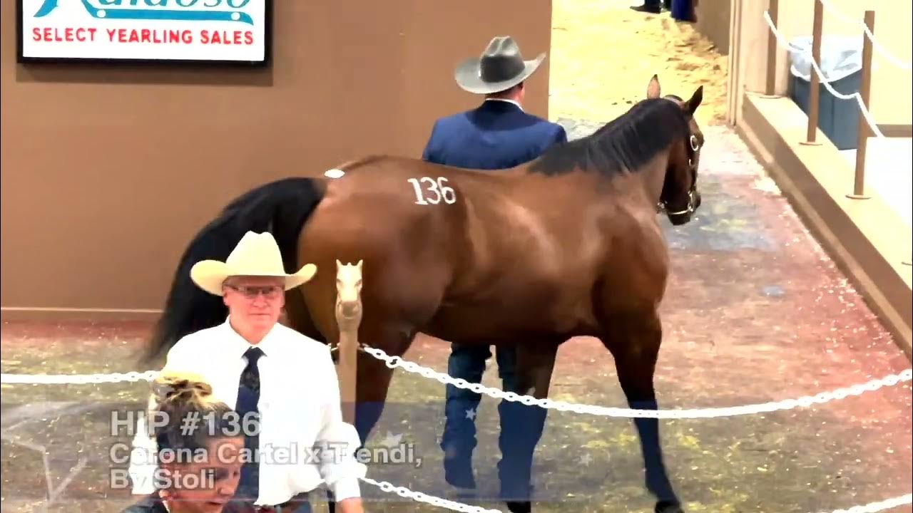 2022 Ruidoso Select Yearling Sale Day 1 YouTube