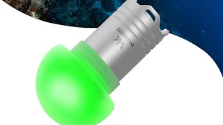 Wurkkos DL-04 Jellyfish 