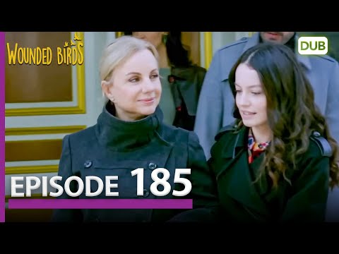 Wounded Birds Episode 185 Urdu Dubbed Turkish Drama 