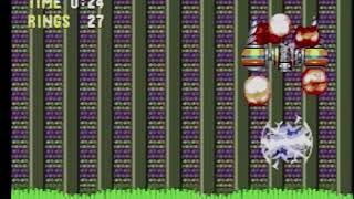 Sonic 3 & Knuckles - Marble Garden 1 Sonic: 0:24 (WR)