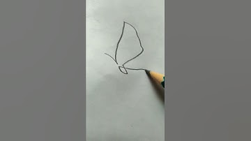 0ne Continuous Line Drawing Butterfly 🦋