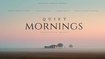 Quiet Mornings - Classical Music for Relaxation | Bach, Schubert, Mozart...