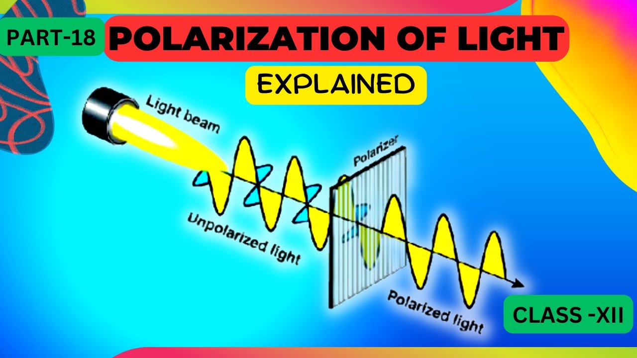 polarization of light class 12 in hindi Wave Optics YouTube