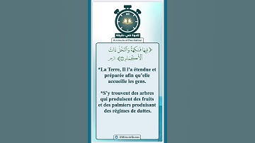 تلاوة في دقيقة ( فيها فاكهة والنخل ذات الأكمام ) تلاوة للشيخ ماهر المعيقلي