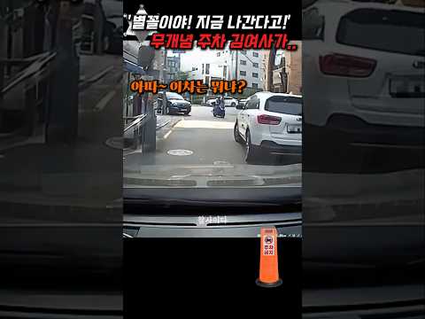 '별꼴이야! 지금 나간다고!' 전봇대 사이에 김여사가 개념없이 주차해놓고는.. thumbnail
