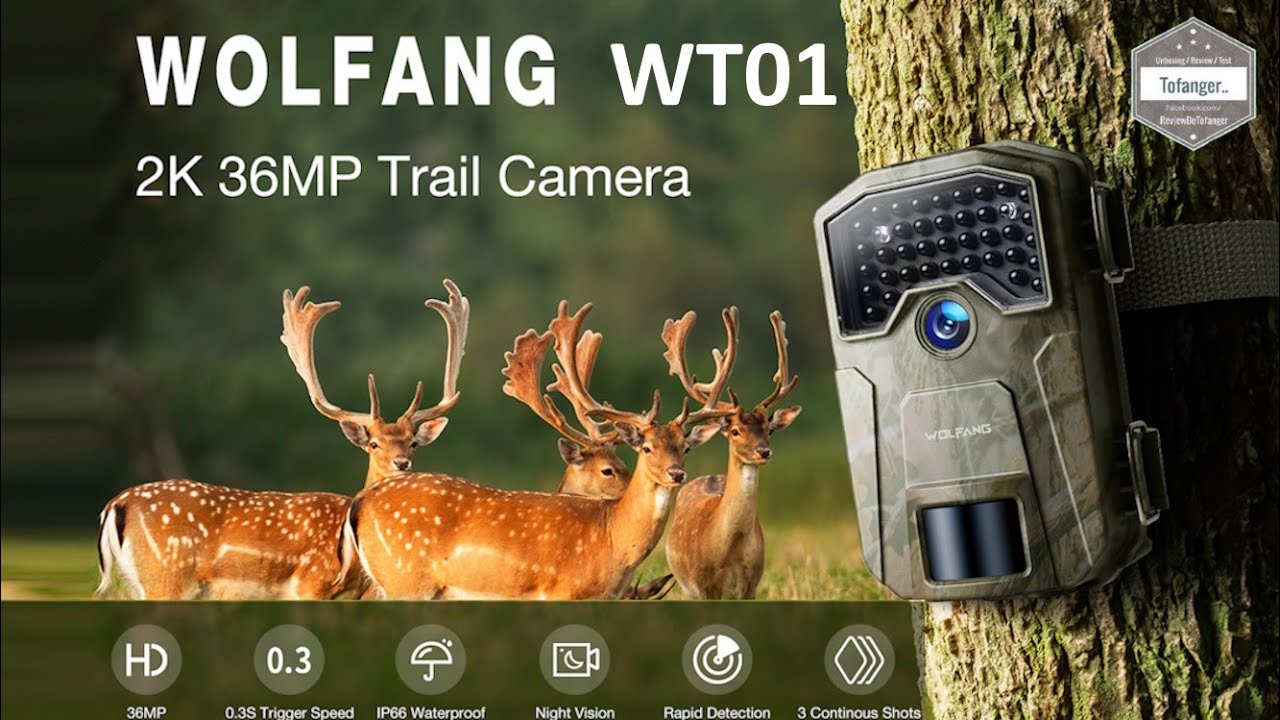 Охотничья камера WOLFANG WT01 - IP66 - Работа от батареи AA - Распаковка
