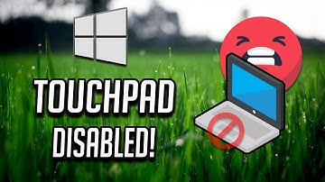 Touchpad Getting Disabled Automatically in Windows 10 FIX [2025]