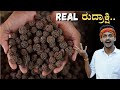 Real rudraksha processing    