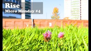 Micro Monday - Rise Belfast - Short Film