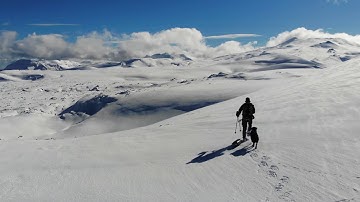 Dennyiah ft. Adam Baldych - Iohan (Official Video)