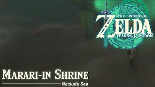 Marari-in Shrine / Eventide Island | Zelda: Tears of the Kingdom