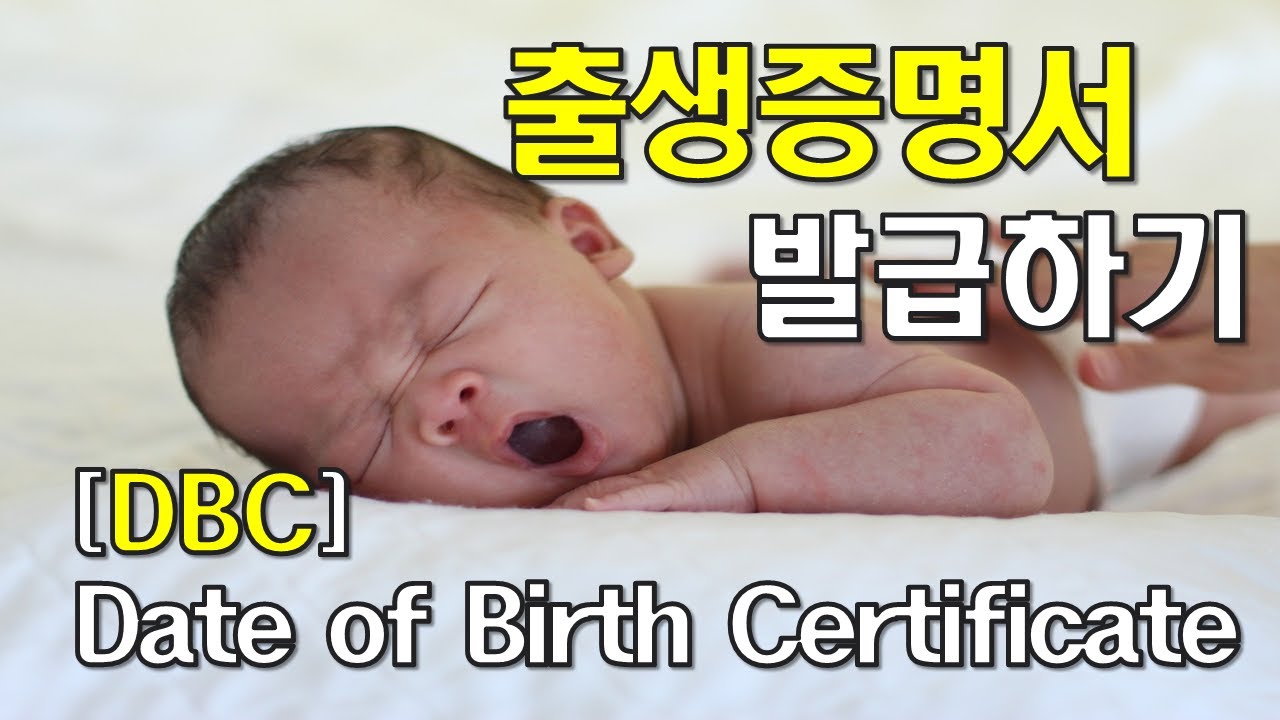 (Immigration)  출생증명서 발급하기 [Date of Birth Certification Issuing]