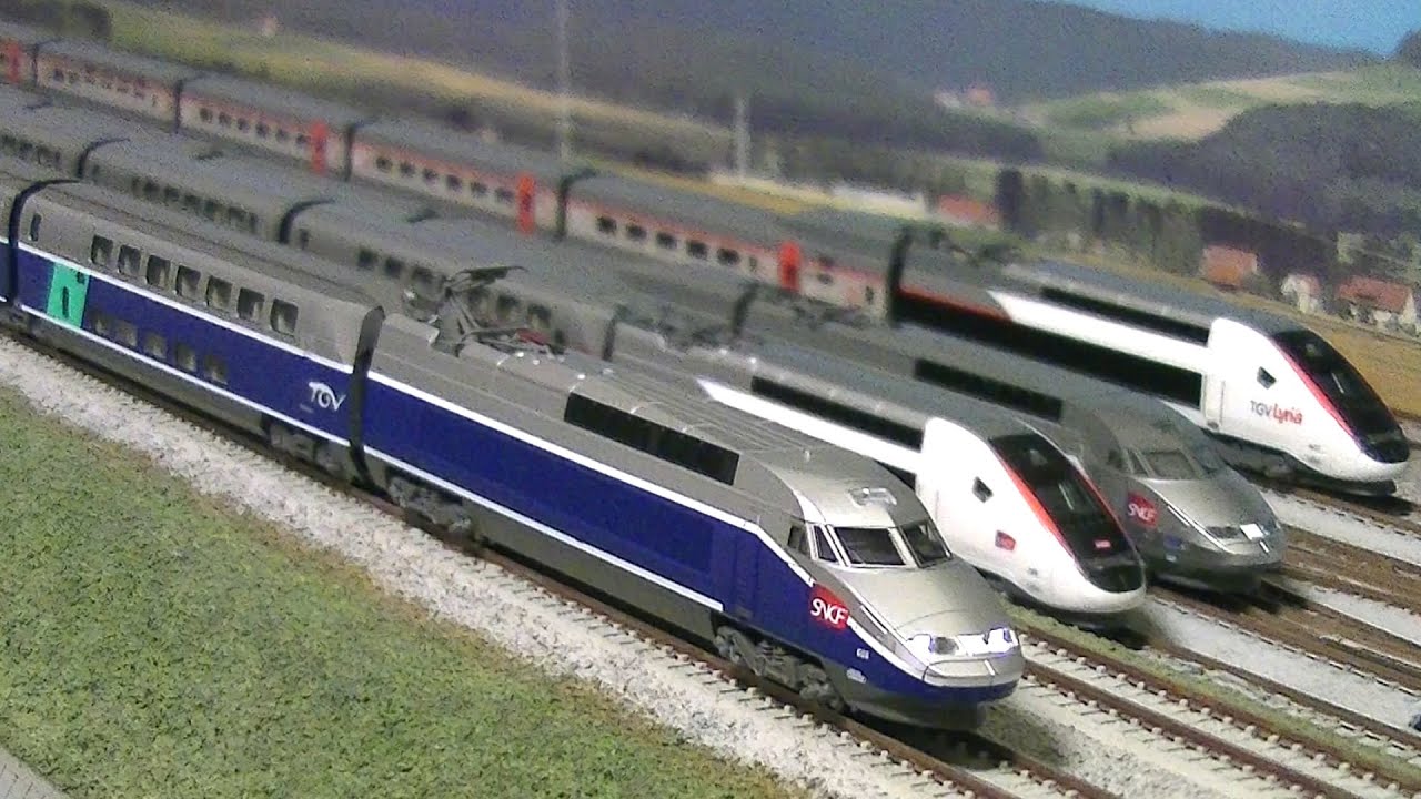 セクタ 特異な 葉っぱ kato tgv duplex - h-kougei.jp