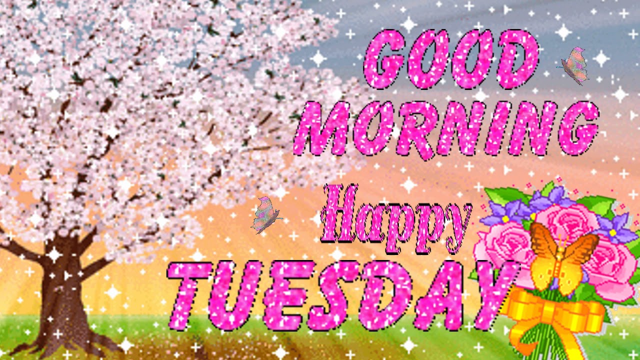 Good Morning TUESDAY! |️ GIF e-Card Greetings️| Have an ...