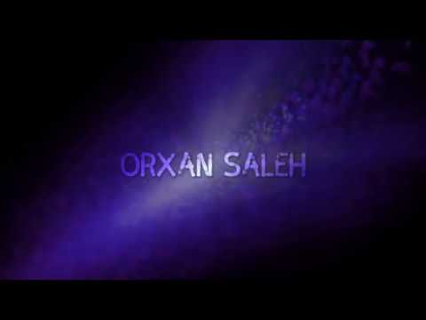 Orxan Saleh - Dost haqqında şeir