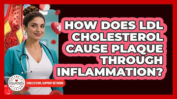How Does LDL Cholesterol Cause Plaque Through Inflammation? - Cholesterol Support Network