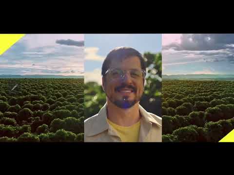 Comercial Banco do Brasil - Agronegócio