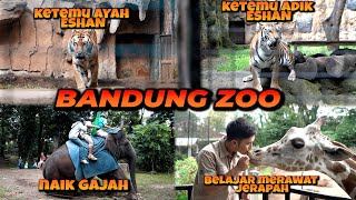 SERUNYA KETEMU BAPAK & ADIKNYA ESHAN, KASIH MAKAN JERAPAH & SINGA, NAIK GAJAH DI BANDUNG ZOO !!