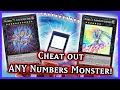 Numbers Evaille is BROKEN with these cards!