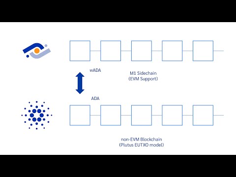 อธิบายแนวคิดวิธีการใช้งาน Milkomeda Sidechain (Testnet) ของ Cardano