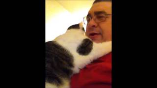 My Cat Tiger Hates the Outdoors by Italguy2k 121 views 6 years ago 49 seconds