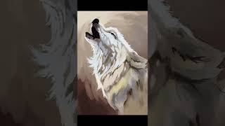 Wolf Study Timelapse original by Marie-Andrée Leblond #animalart #digitalart #wolves #wolfart
