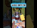 Cosa Vuole Dirti Ora? #tarocchi #tarot #tarocchiinterattivi #taro