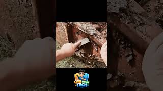 monster truck 🚛🚒 #truck #truckdriver #old #unique #uniquefacts