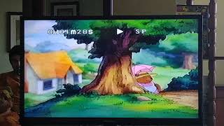 Opening To Little Bear Outdoor Fun 2002 Vhs