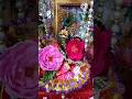 Janmashtami celebration 🎊 At Home #janmashtami #laddugopal #shorts