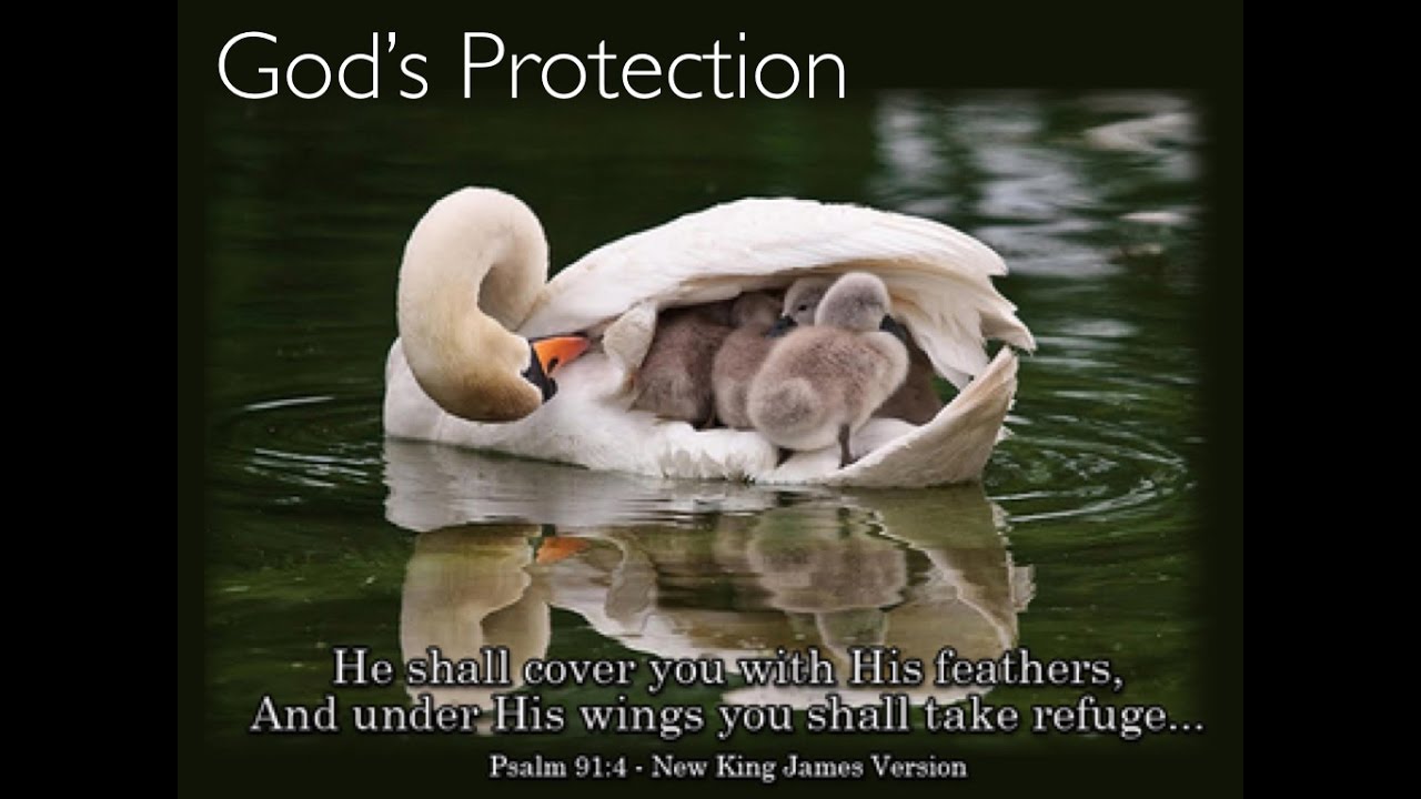 God's protection -Franz Hasel and Nicholai Panchuk (Part 2 of 2) - YouTube