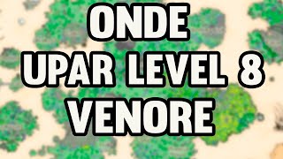Tibia Onde Upar Level 8 em Venore