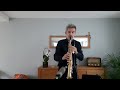 La berceuse dahtohallan  saxophone cover