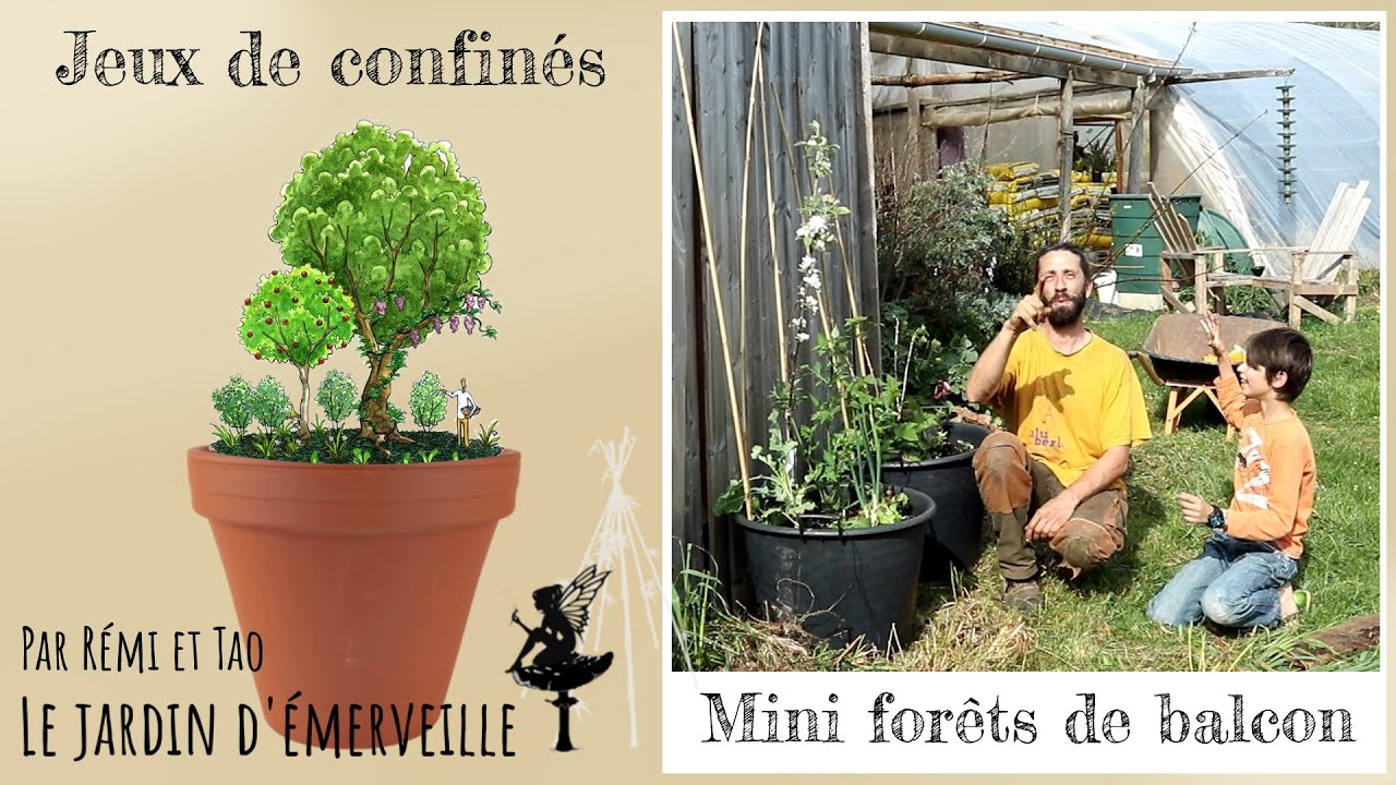 Jeu de confinés : Créer une mini forêt fruitière de balcon