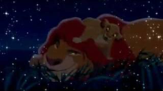 Firework || Animash ||